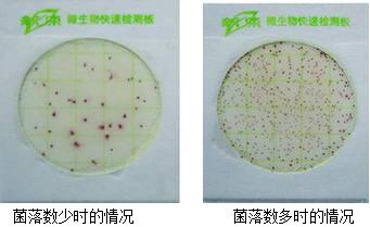 菌落總數(shù)測試片